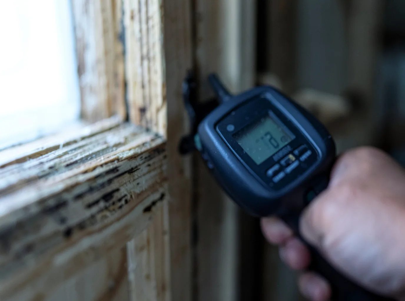 Moisture Inspection And Documentation in Whittington, IL